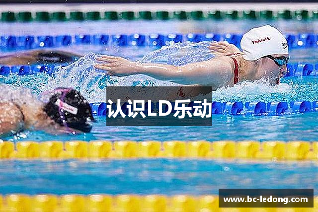 认识LD乐动